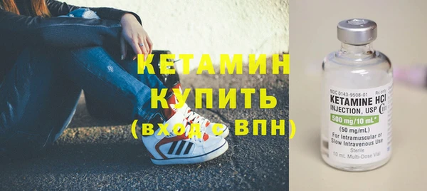 сатива Дмитриев