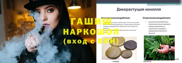 сатива Дмитриев
