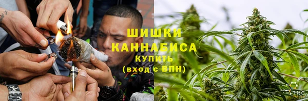 сатива Михайловка