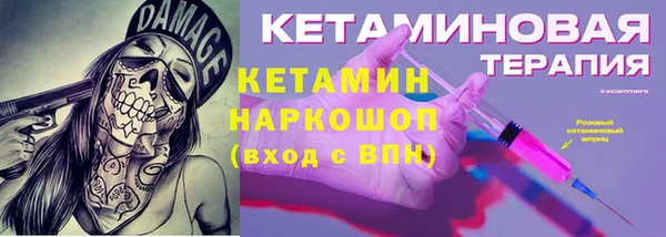 сатива Дмитриев